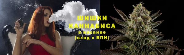 индика Верхний Тагил